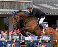 jumper Akrobat 128 (Oldenburg, 2003, from Abke 4)