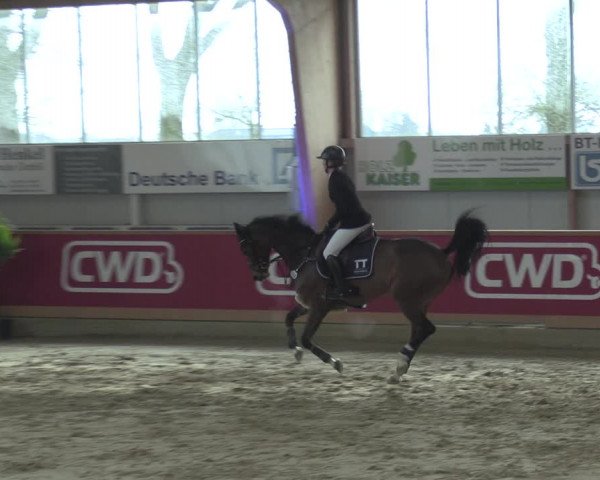 Reitturnier Goch-Asperden 2020