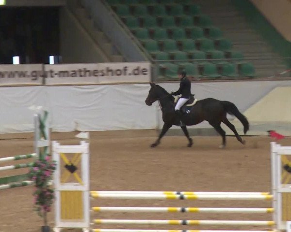 Reitturnier Kreuth/Opf. 2020