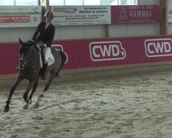 Reitturnier Goch-Asperden 2020