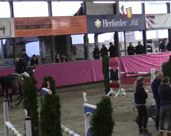 Reitturnier Vlotho-Exter 2020