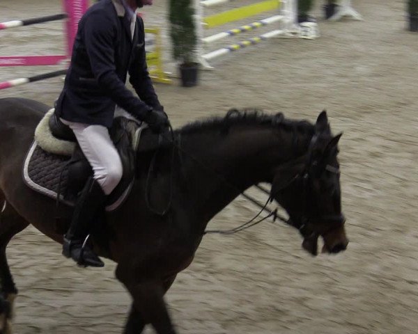 Reitturnier Vlotho-Exter 2020
