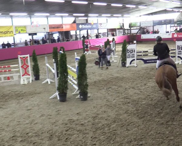 Reitturnier Vlotho-Exter 2020