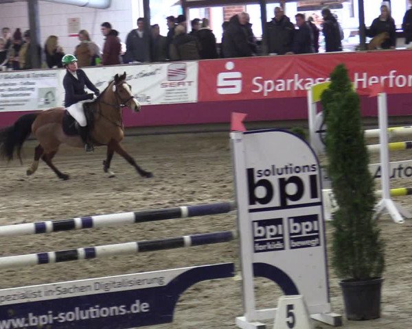 Reitturnier Vlotho-Exter 2020