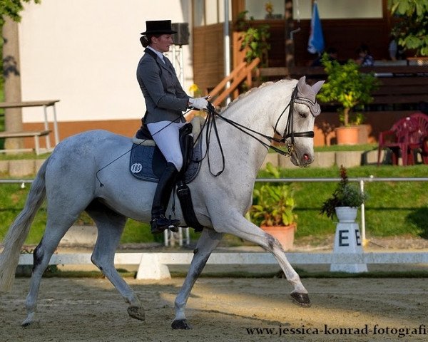 broodmare Lindeza (Zweibrücken, 2001, from Lintas)