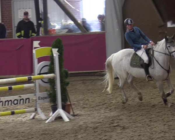 Reitturnier Vlotho-Exter 2020