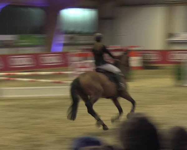 Reitturnier Goch-Asperden 2020