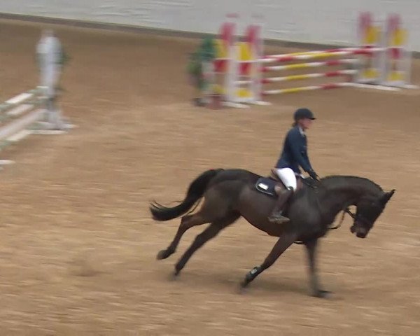 Reitturnier Kreuth/Opf. 2020