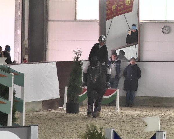 Torneo Equestre Karlsfeld/Obb. 2020