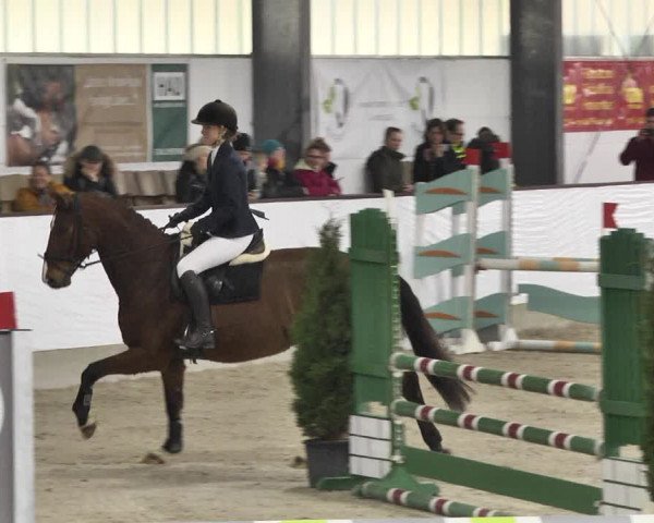 Reitturnier Karlsfeld/Obb. 2020