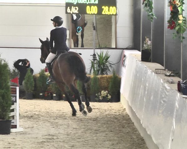 Reitturnier Karlsfeld/Obb. 2020