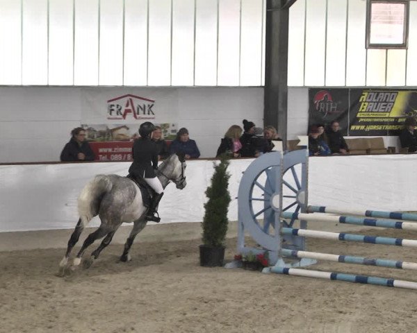 Reitturnier Karlsfeld/Obb. 2020