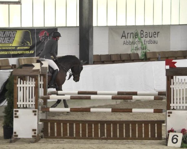Reitturnier Karlsfeld/Obb. 2020