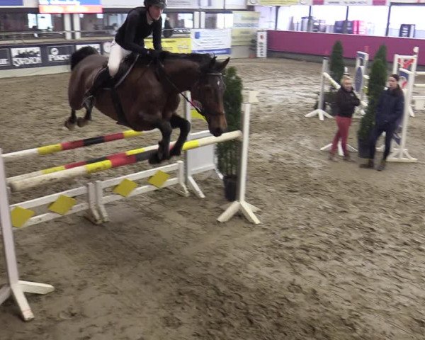 Reitturnier Vlotho-Exter 2020