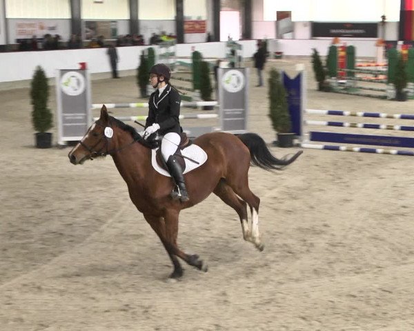 Reitturnier Karlsfeld/Obb. 2020