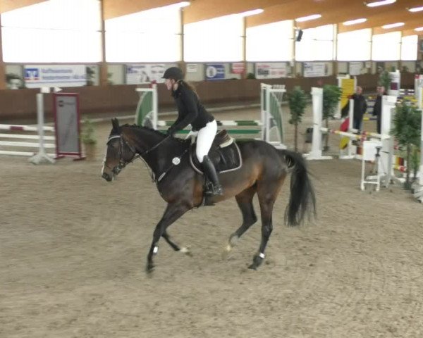 Reitturnier Dettingen 2020