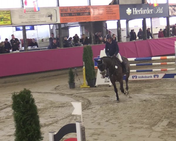 Reitturnier Vlotho-Exter 2020