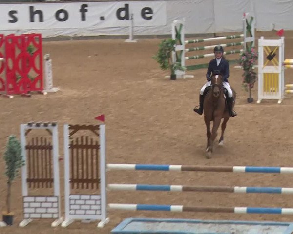 Reitturnier Kreuth/Opf. 2020