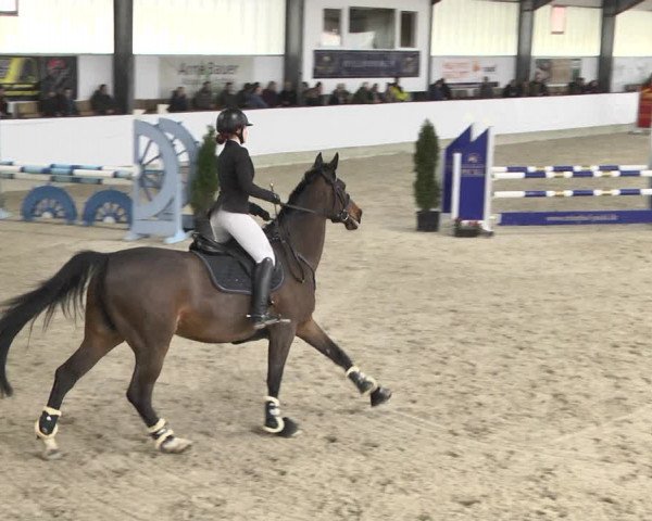 Reitturnier Karlsfeld/Obb. 2020