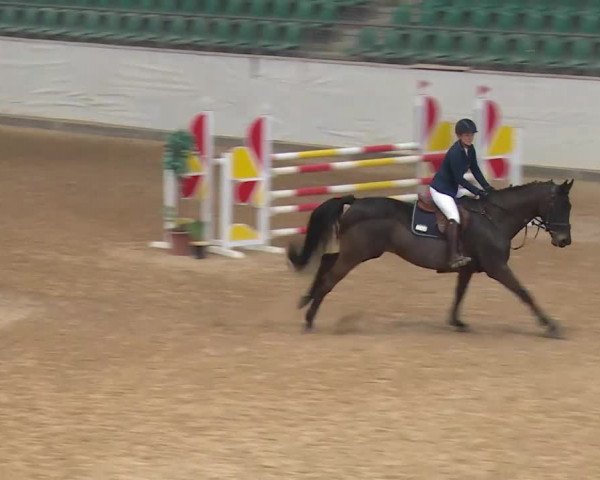Reitturnier Kreuth/Opf. 2020