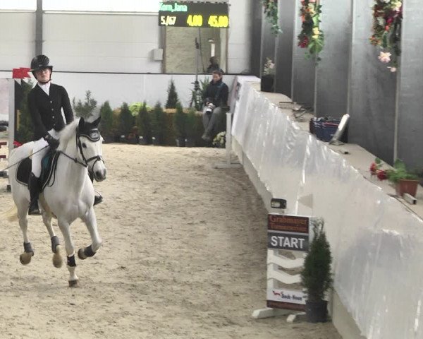 Reitturnier Karlsfeld/Obb. 2020