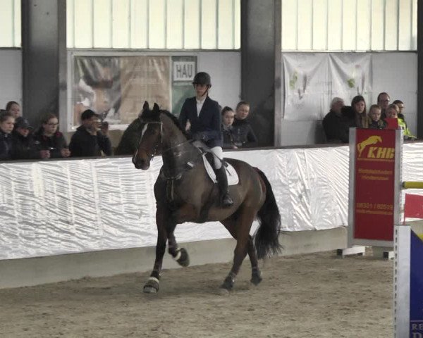 Reitturnier Karlsfeld/Obb. 2020