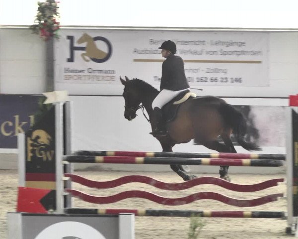 Reitturnier Karlsfeld/Obb. 2020