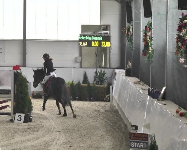 Reitturnier Karlsfeld/Obb. 2020