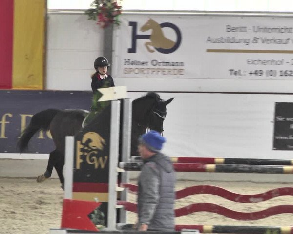Reitturnier Karlsfeld/Obb. 2020