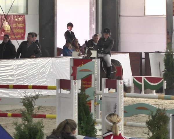 Reitturnier Karlsfeld/Obb. 2020