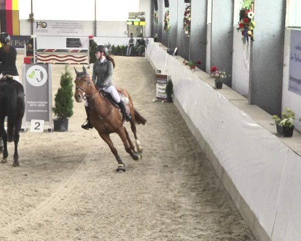 Reitturnier Karlsfeld/Obb. 2020