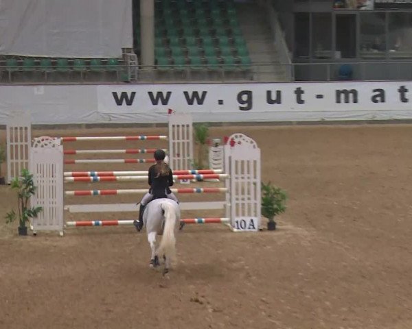 Reitturnier Kreuth/Opf. 2020