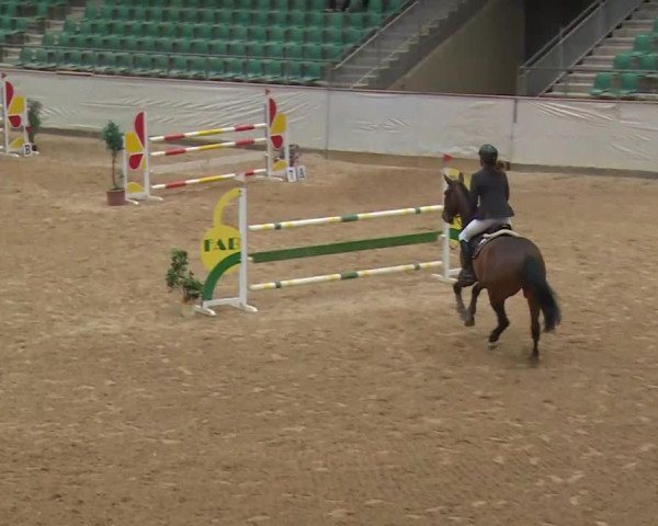 Reitturnier Kreuth/Opf. 2020
