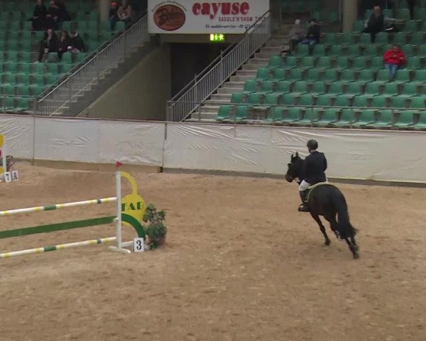Reitturnier Kreuth/Opf. 2020