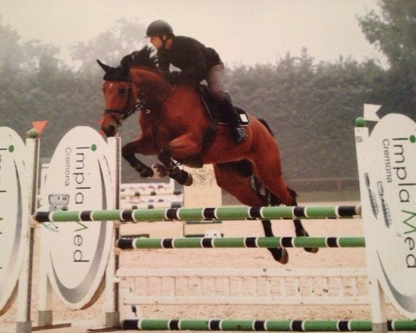 broodmare Zair (Holsteiner, 2007, from Con Air)