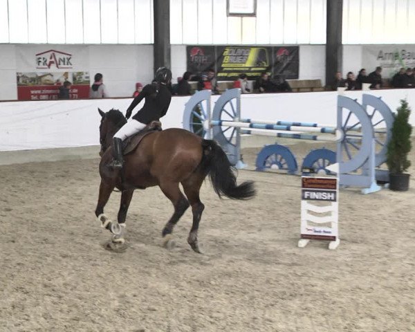 Reitturnier Karlsfeld/Obb. 2020