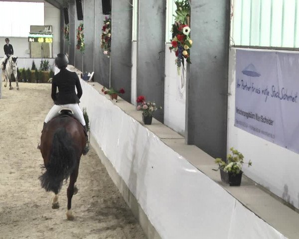 Reitturnier Karlsfeld/Obb. 2020
