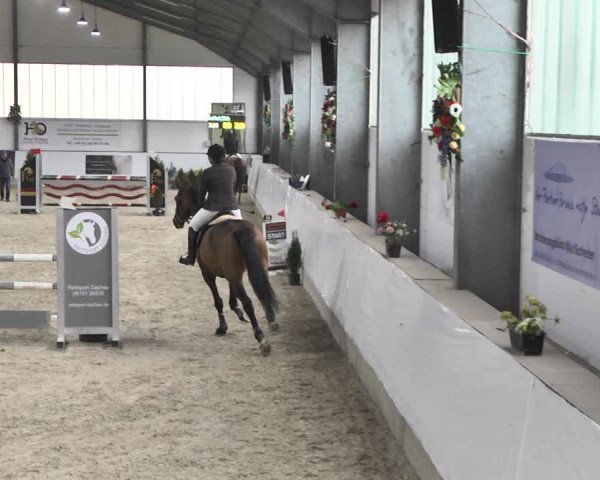 Reitturnier Karlsfeld/Obb. 2020