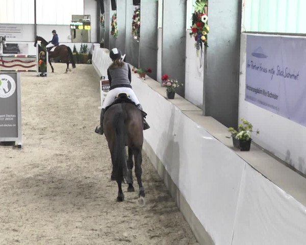 Reitturnier Karlsfeld/Obb. 2020