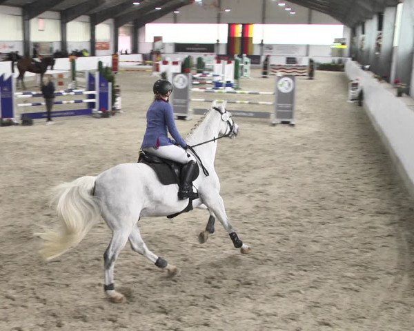 Reitturnier Karlsfeld/Obb. 2020
