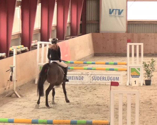 Reitturnier Süderlügum 2020