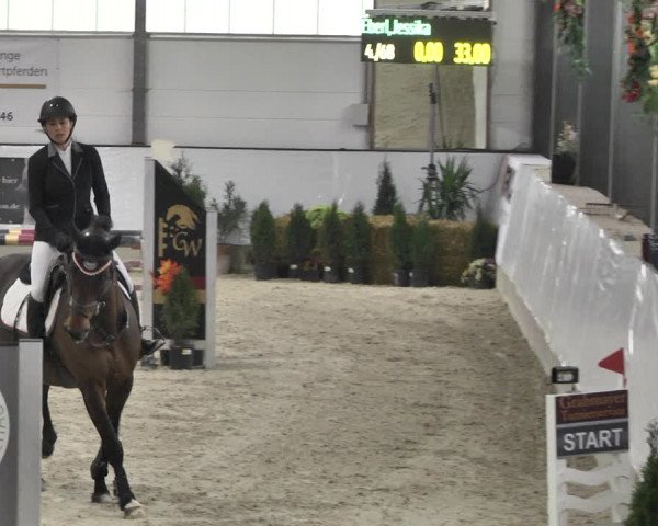 Reitturnier Karlsfeld/Obb. 2020