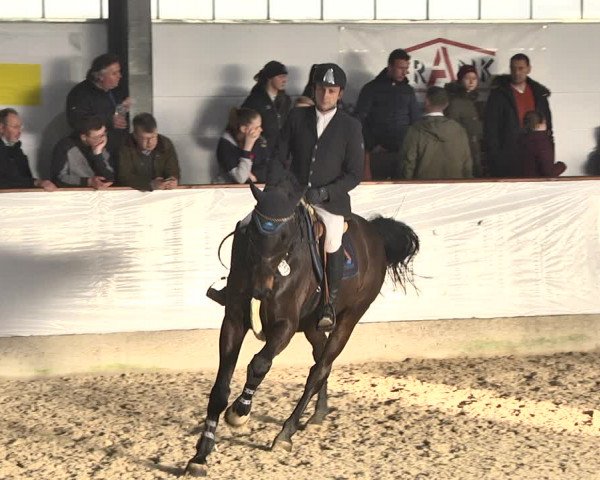 Reitturnier Karlsfeld/Obb. 2020