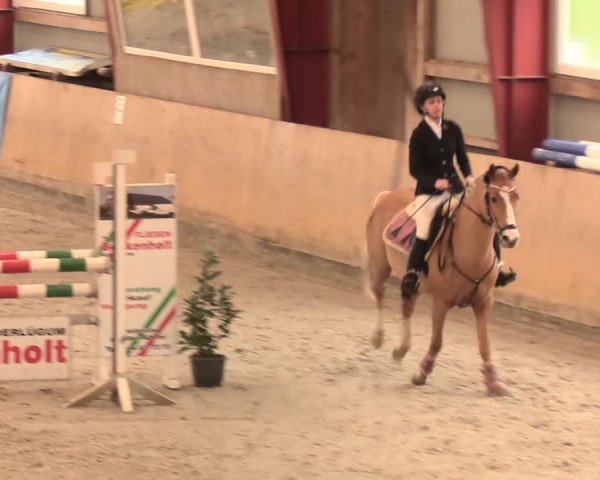 Reitturnier Süderlügum 2020