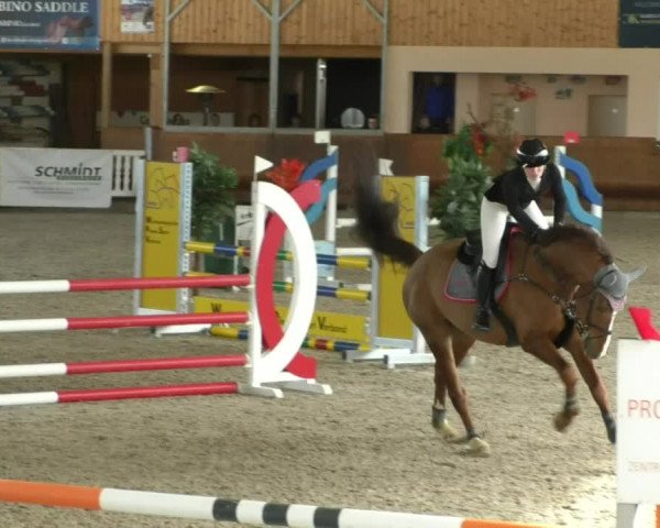 Reitturnier Dettingen 2020