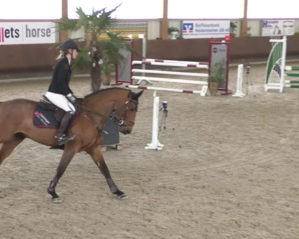 Reitturnier Dettingen 2020