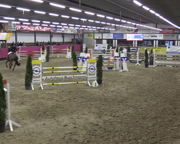 Reitturnier Vlotho-Exter 2020