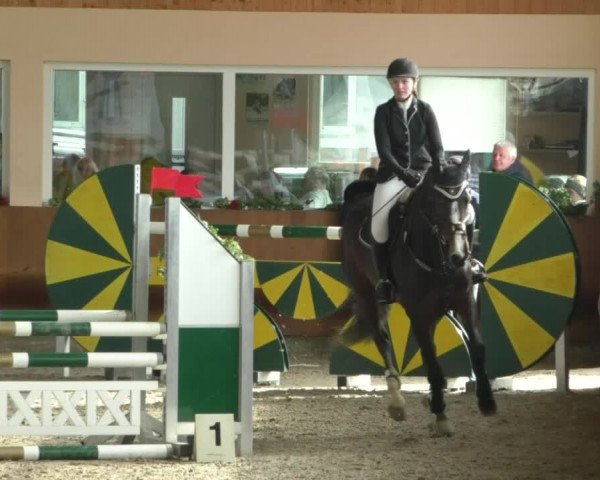 Reitturnier Dettingen 2020