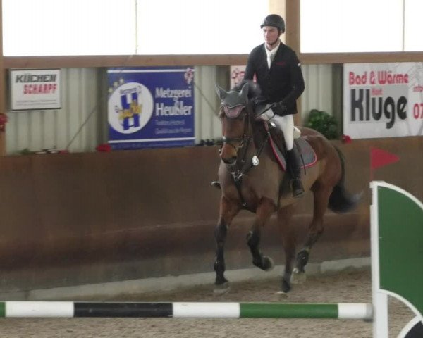 Reitturnier Dettingen 2020
