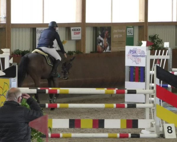 Reitturnier Dettingen 2020